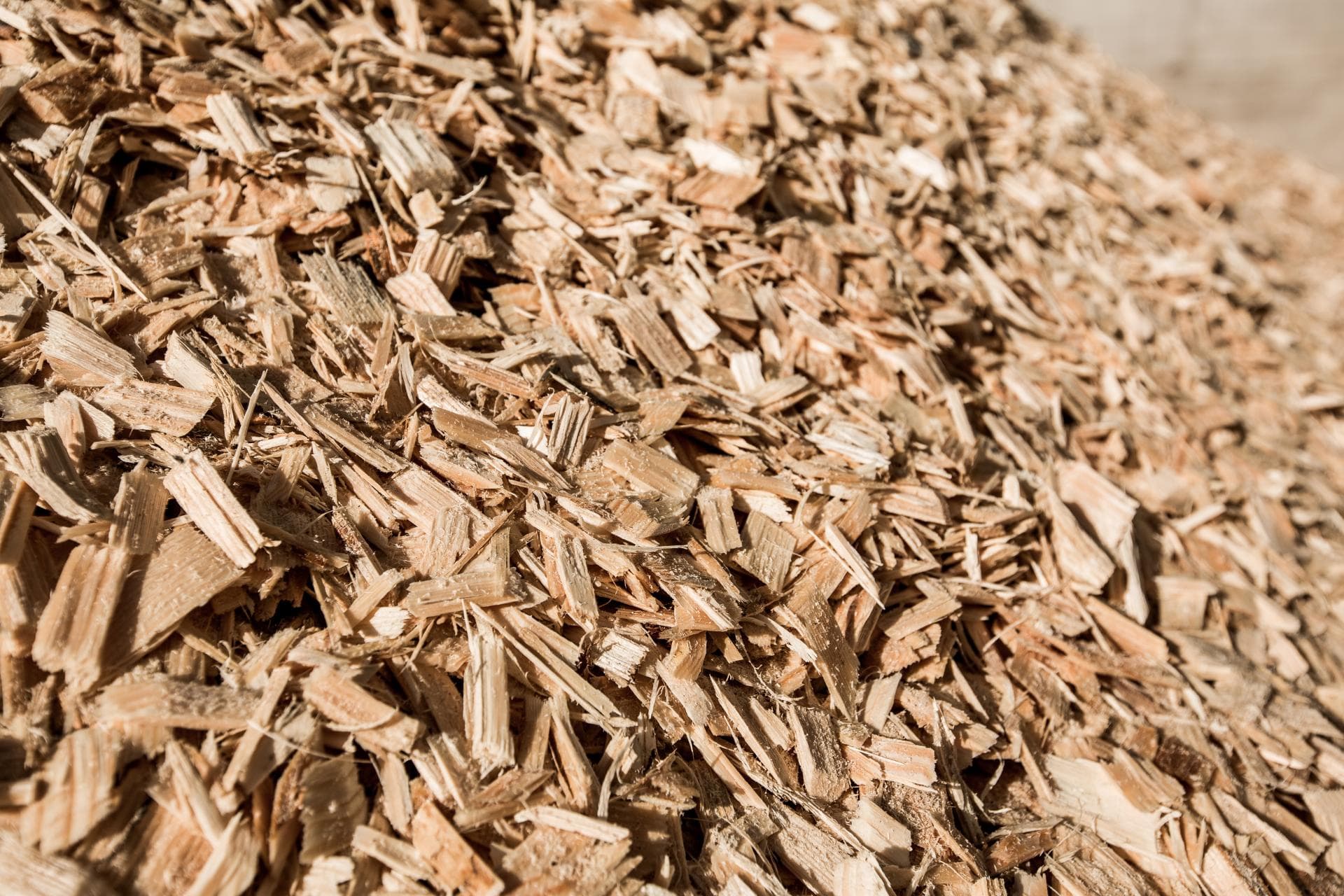 Illustration of screened hardwood chips packed within a consistent size band
