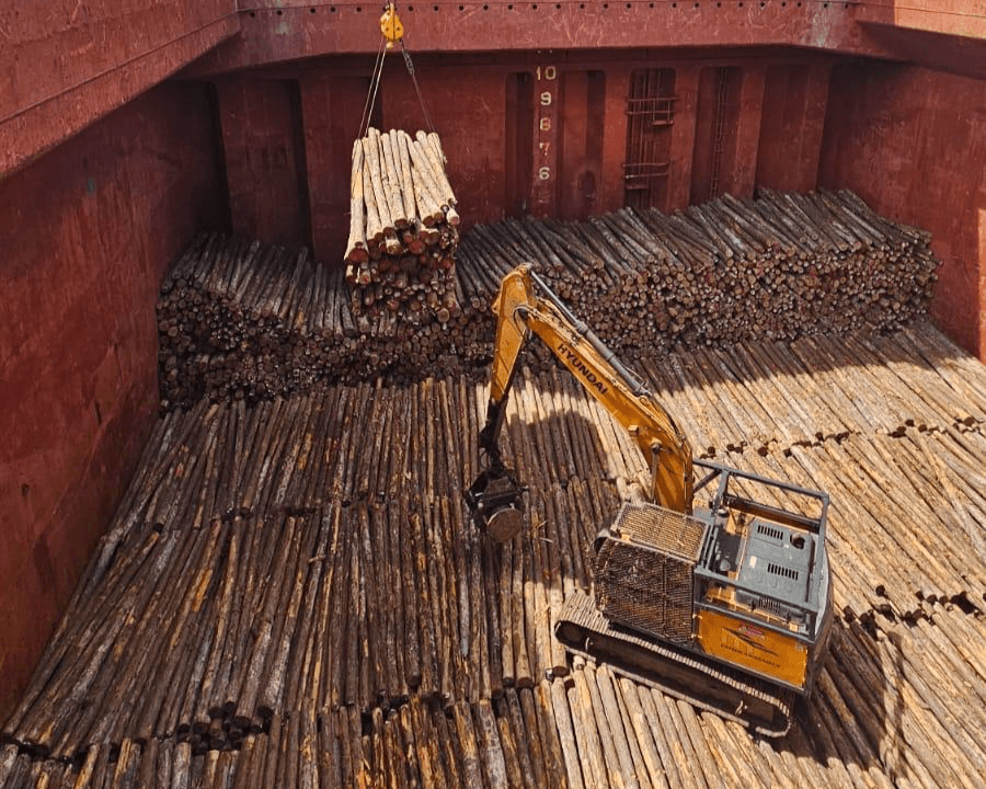 Hardwood pulpwood being loaded for shipment